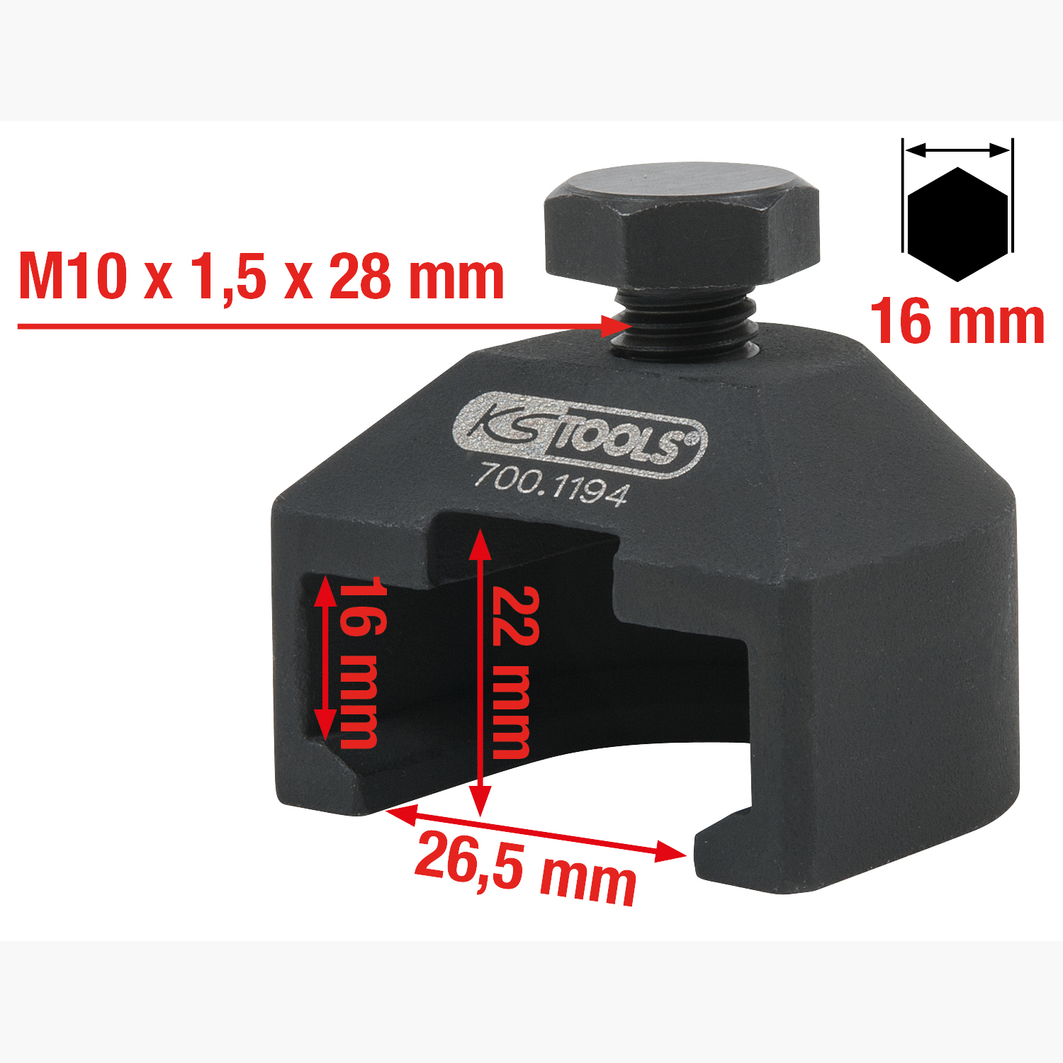 FOT_GES_ALG_700.1194.GB_SALL_AING_V1