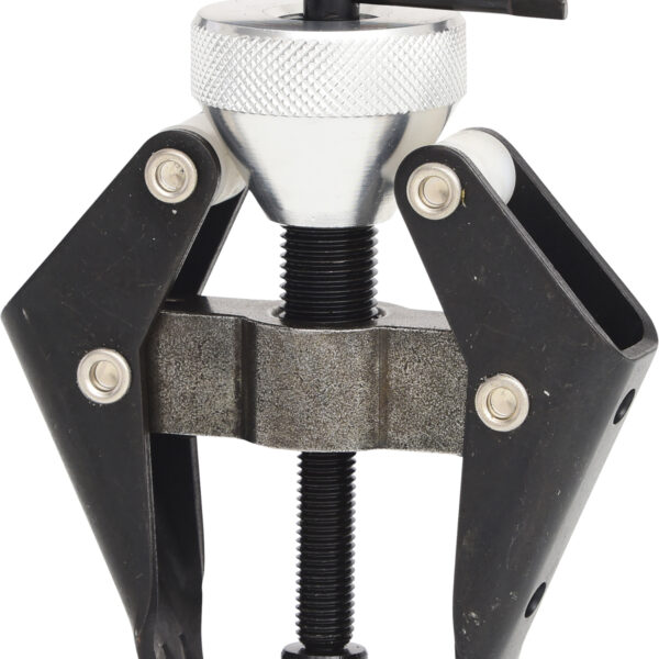 FOT_PRO_VAR_700.1190.2_SALL_AING_V1