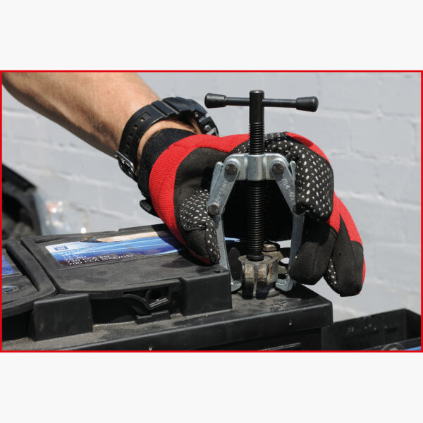 FOT_ANW_ALG_AUTO_700.116X(4-6).AW1_SALL_AING_V1