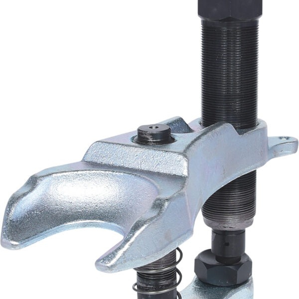 FOT_PRO_ALG_670.0171_SALL_AING_V1