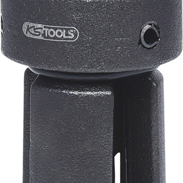 FOT_PRO_ALG_660.0125_SALL_AING_V1