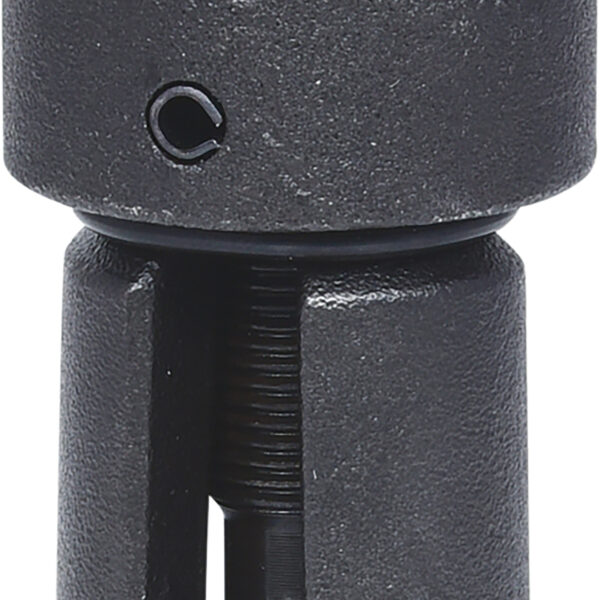 FOT_PRO_VAR_660.0125.2_SALL_AING_V1