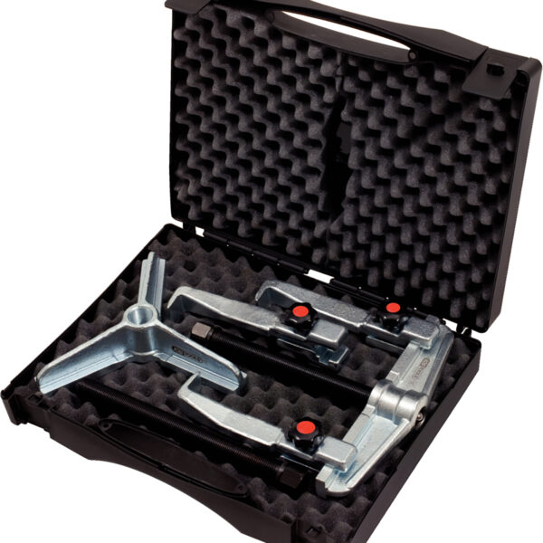 FOT_PRO_ALG_AUTO_625.170X(1-3).1_SALL_AING_V1