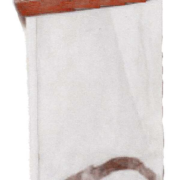 FOT_PRO_ALG_AUTO_610.0100_SALL_AING_V1