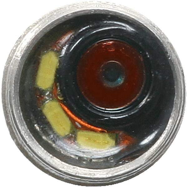 FOT_PRO_VAR_INSP_550.749X(1-2).4_SALL_AING_V1