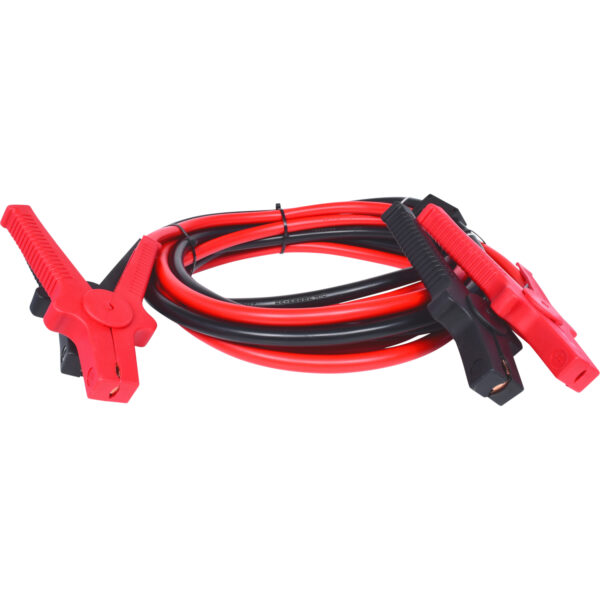 FOT_PRO_ALG_550.1759_SALL_AING_V1