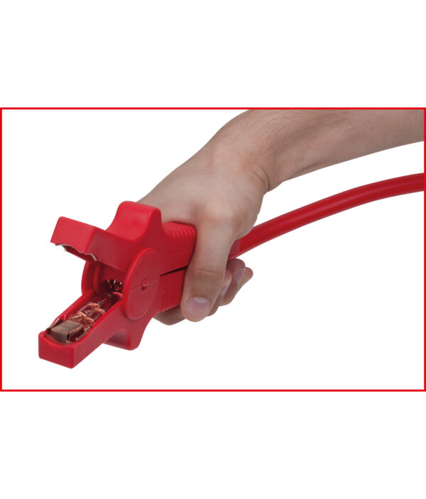 FOT_ANW_ALG_AUTO_550.175X(7-9).3_SALL_AING_V1