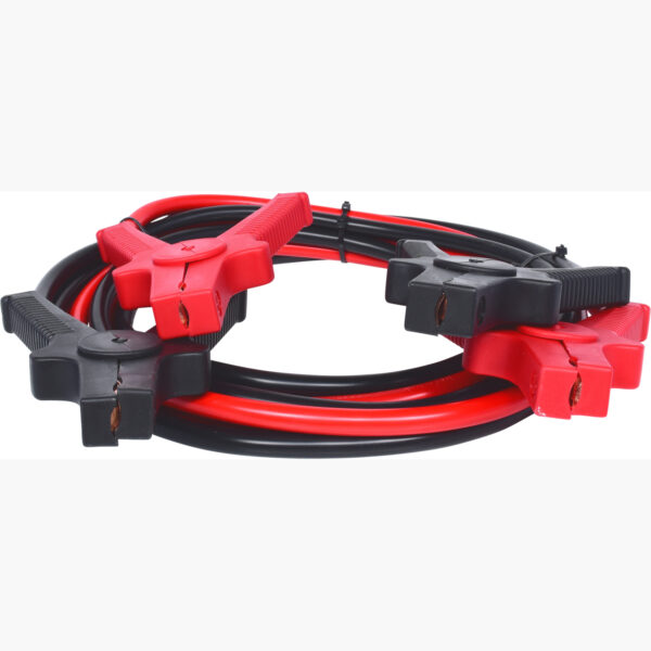 FOT_PRO_ALG_550.1758_SALL_AING_V1