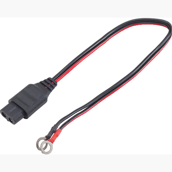 FOT_PRO_ALG_AUTO_550.1730-2_SALL_AING_V1