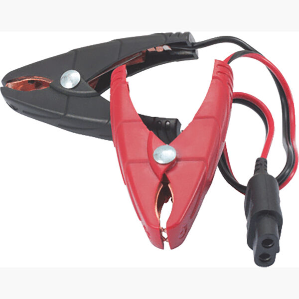 FOT_PRO_ALG_AUTO_550.1730-1_SALL_AING_V1