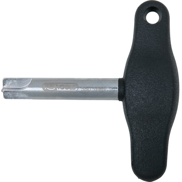 FOT_PRO_ALG_AUTO_550.1686_SALL_AING_V1