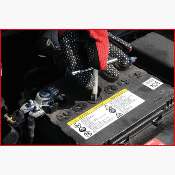 FOT_ANW_ALG_AUTO_550.1686.AW1_SALL_AING_V1