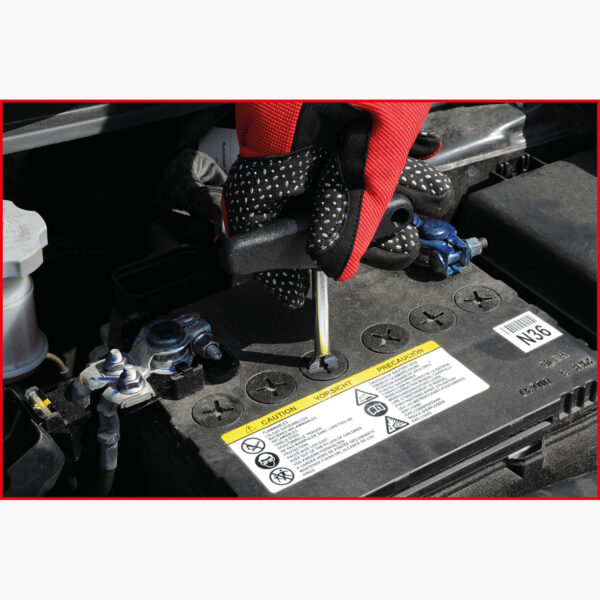 FOT_ANW_ALG_AUTO_550.1682.AW1_SALL_AING_V1