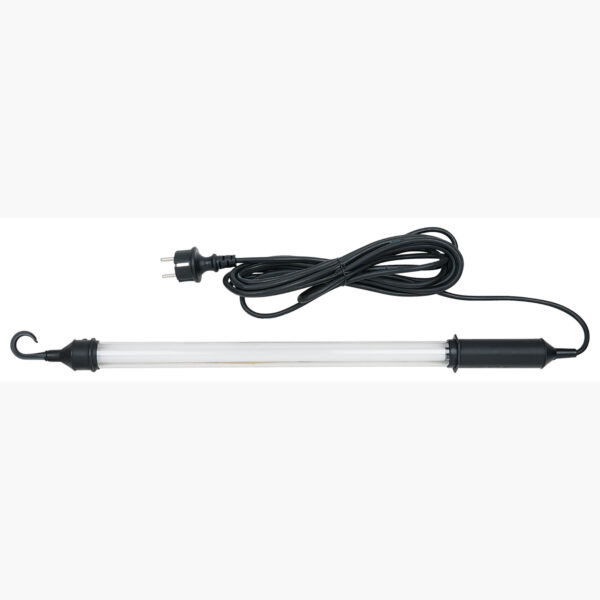 FOT_PRO_ALG_WZAL_550.1381_SALL_AING_V1