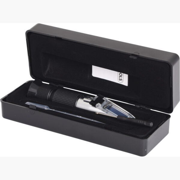 FOT_PRO_ALG_550.1290_SALL_AING_V1