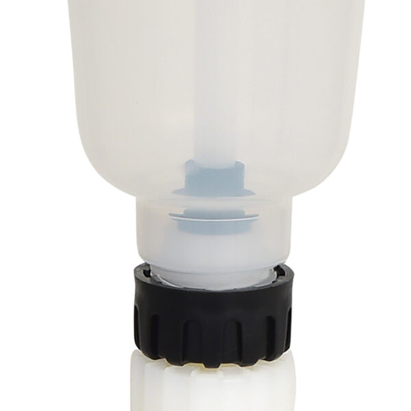 FOT_PRO_ALG_550.1287_SALL_AING_V1