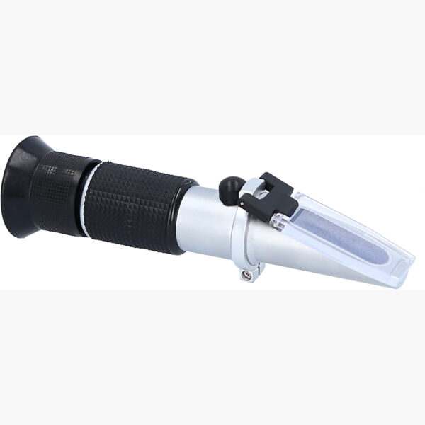 FOT_PRO_VAR_550.1285.4_SALL_AING_V1