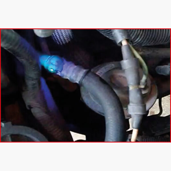 FOT_ANW_ALG_AUTO_550.1190.AW1_SALL_AING_V1