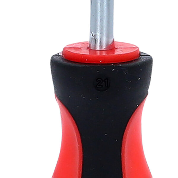 FOT_PRO_VAR_550.1073.2_SALL_AING_V1