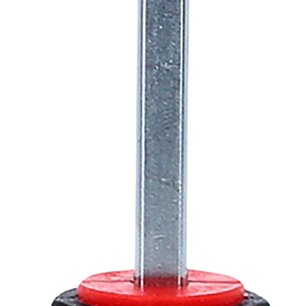 FOT_PRO_ALG_550.1072_SALL_AING_V1