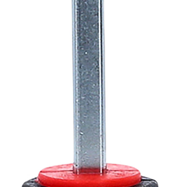 FOT_PRO_VAR_550.1072.2_SALL_AING_V1