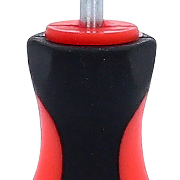 FOT_PRO_ALG_550.1046_SALL_AING_V1