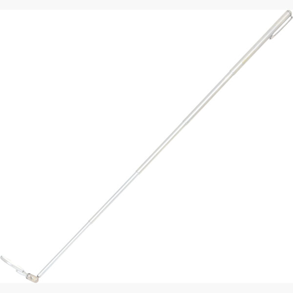 FOT_PRO_ALG_550.1030_SALL_AING_V1