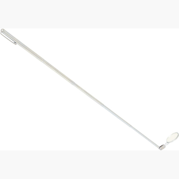 FOT_PRO_VAR_550.1030.2_SALL_AING_V1