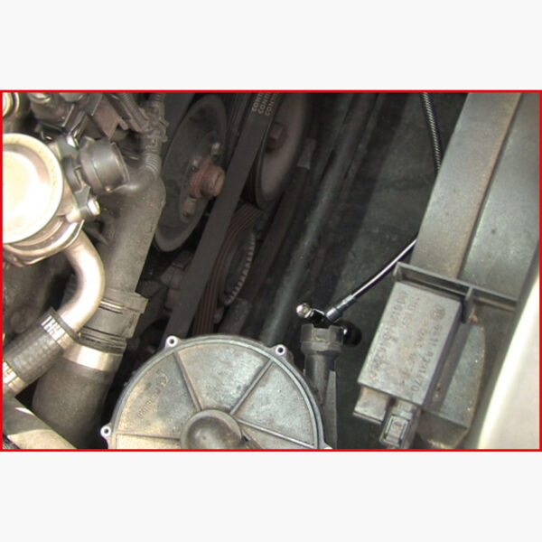 FOT_ANW_ALG_AUTO_550.102X(5-7).AW5_SALL_AING_V1