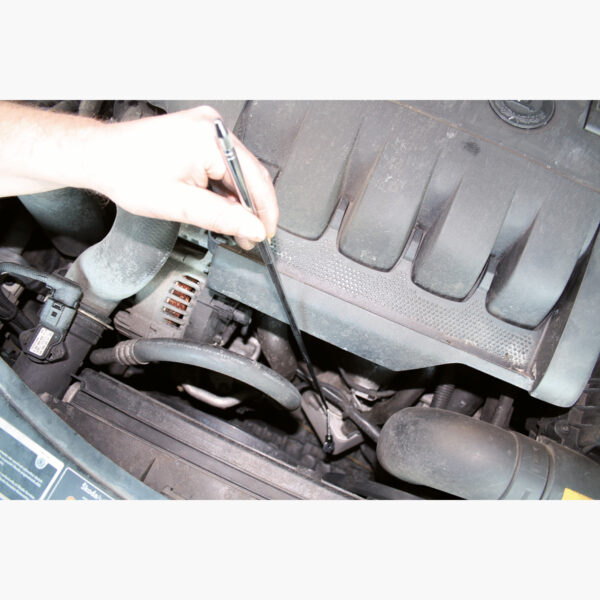 FOT_ANW_ALG_INSP_550.1023.AW2_SALL_AING_V1