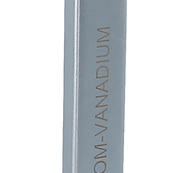 FOT_PRO_VAR_520.3032.2_SALL_AING_V1