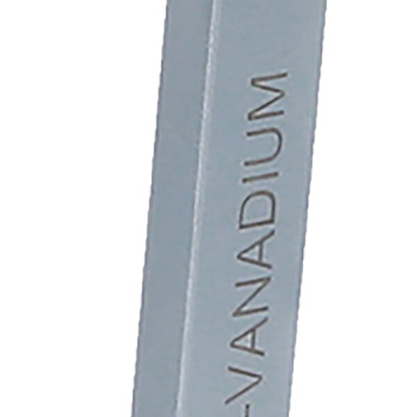 FOT_PRO_VAR_520.1011.2_SALL_AING_V1