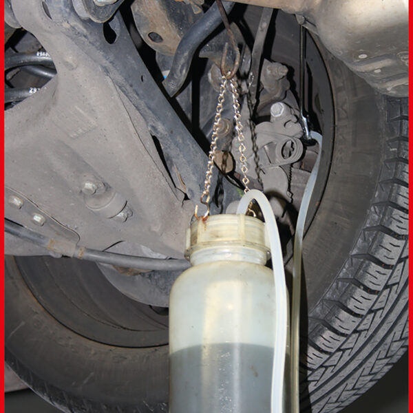 FOT_ANW_ALG_AUTO_518.0390.AW6_SALL_AING_V1