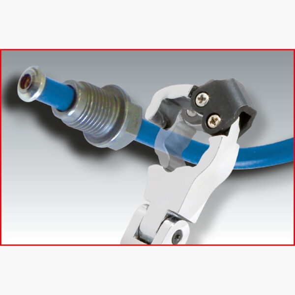 FOT_ANW_ALG_SCHL_518.0321.AW2_SALL_AING_V1