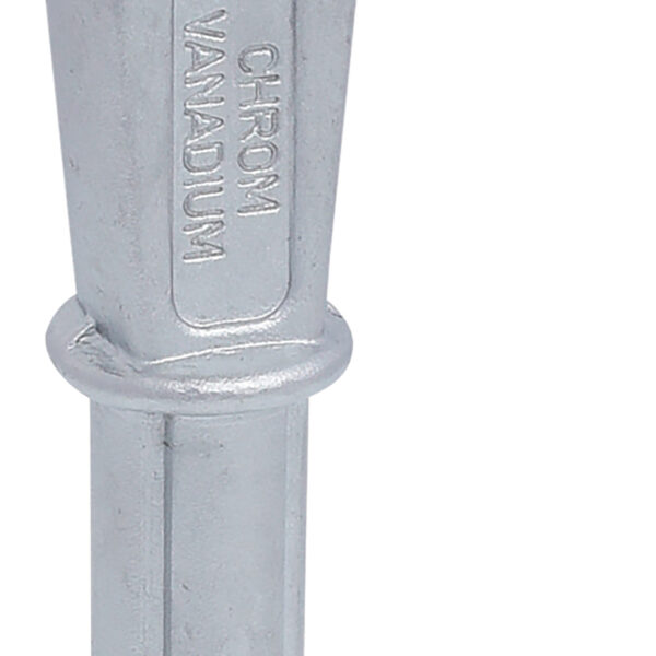 FOT_PRO_VAR_517.9036.2_SALL_AING_V1