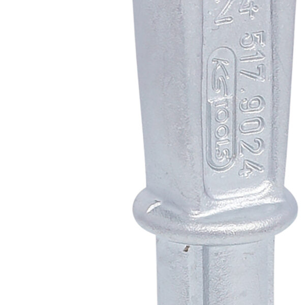 FOT_PRO_ALG_517.9024_SALL_AING_V1