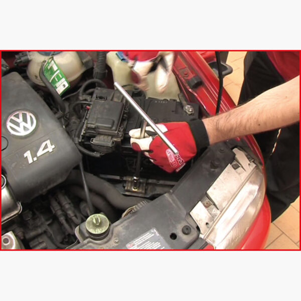 FOT_ANW_ALG_AUTO_517.1180.AW1_SALL_AING_V1