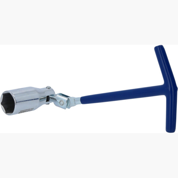 FOT_PRO_ALG_517.1175_SALL_AING_V1