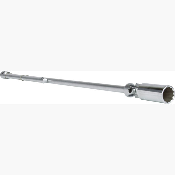 FOT_PRO_ALG_517.1132_SALL_AING_V1