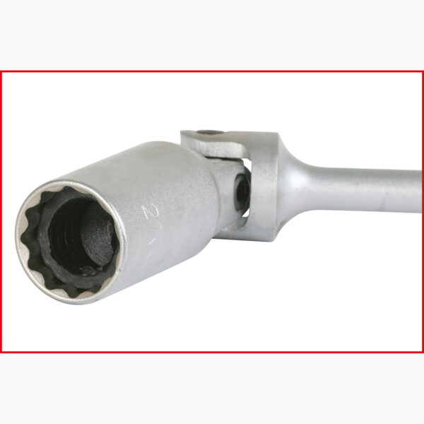 FOT_PRO_VAR_SCHL_517.113X(1-4).2_SALL_AING_V1