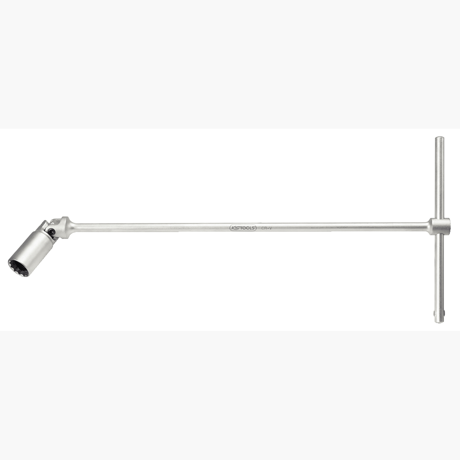 FOT_PRO_ALG_SCHL_517.113X(1-4)_SALL_AING_V1