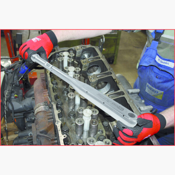 FOT_ANW_ALG_STK_516.50XX(30-55).AW1_SALL_AING_V1