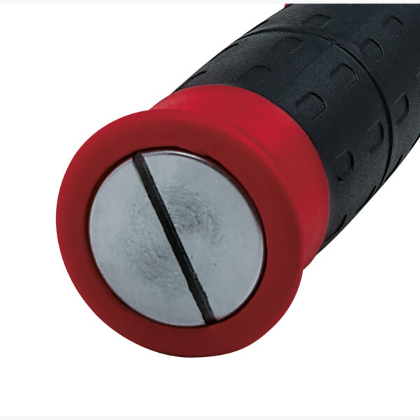 FOT_PRO_VAR_STK_516.5000.4_SALL_AING_V1