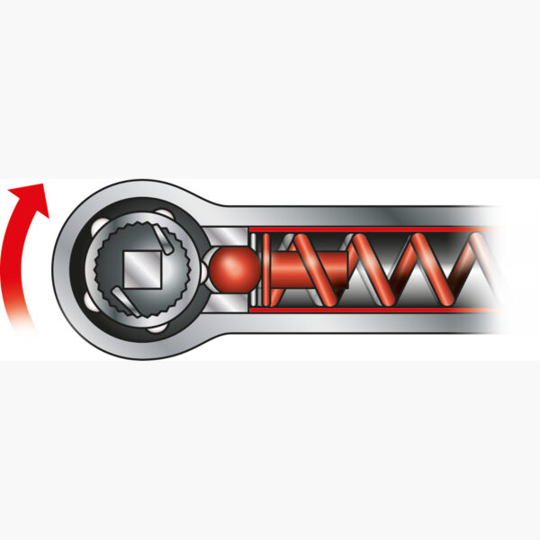 FOT_PRO_VAR_STK_516.5000.8_SALL_AING_V1