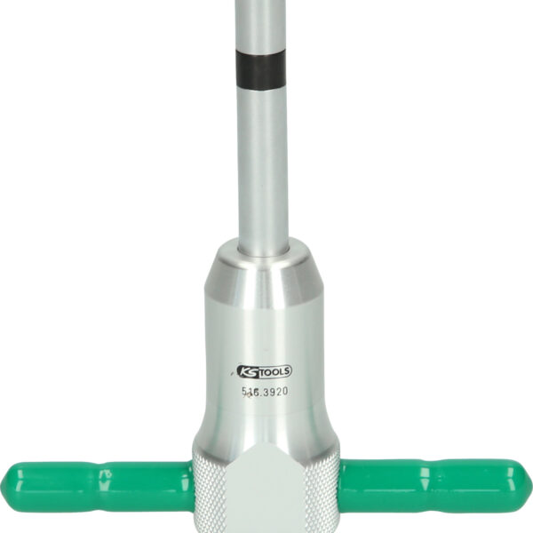 FOT_PRO_ALG_516.3920_SALL_AING_V1