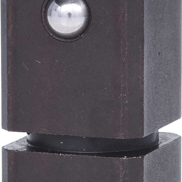 FOT_PRO_ALG_516.3747_SALL_AING_V1