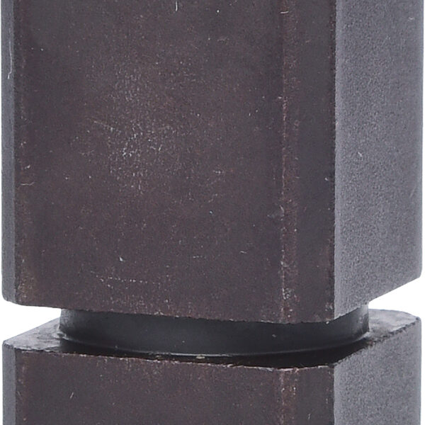 FOT_PRO_VAR_516.3747.2_SALL_AING_V1