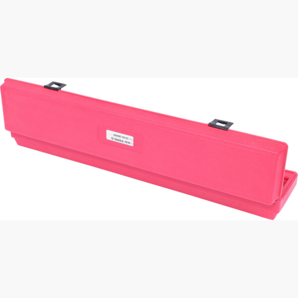 FOT_PRO_VAR_516.3650.2_SALL_AING_V1