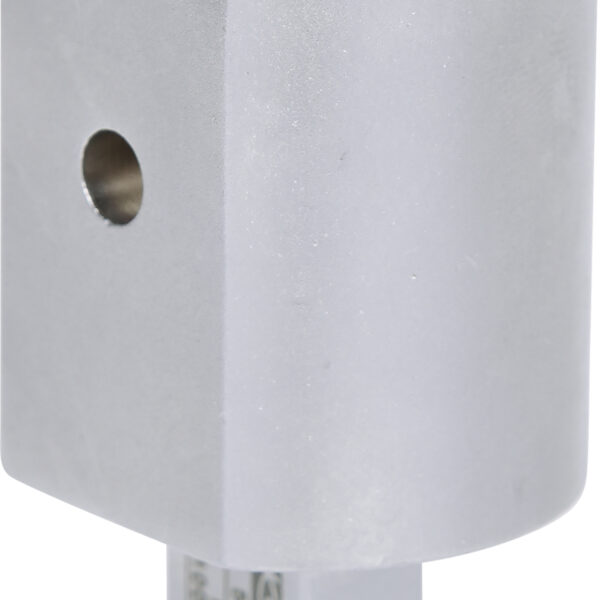 FOT_PRO_ALG_516.2040_SALL_AING_V1