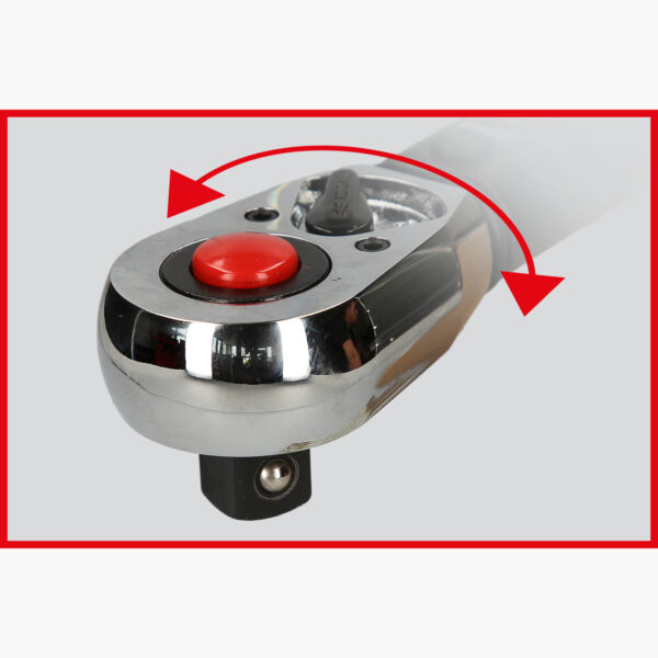 FOT_ANW_ALG_STK_516.15XX(12-82).AW7_SALL_AING_V1